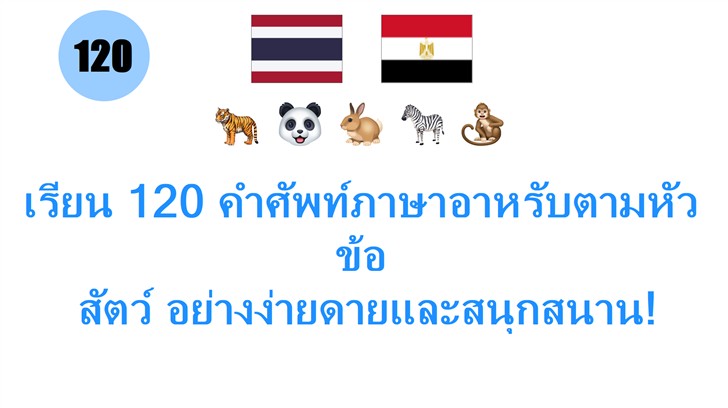 เรียน 120 คำศัพท์ภาษาอาหรับตามหัวข้อ: สัตว์ อย่างง่ายดายและสนุกสนาน!